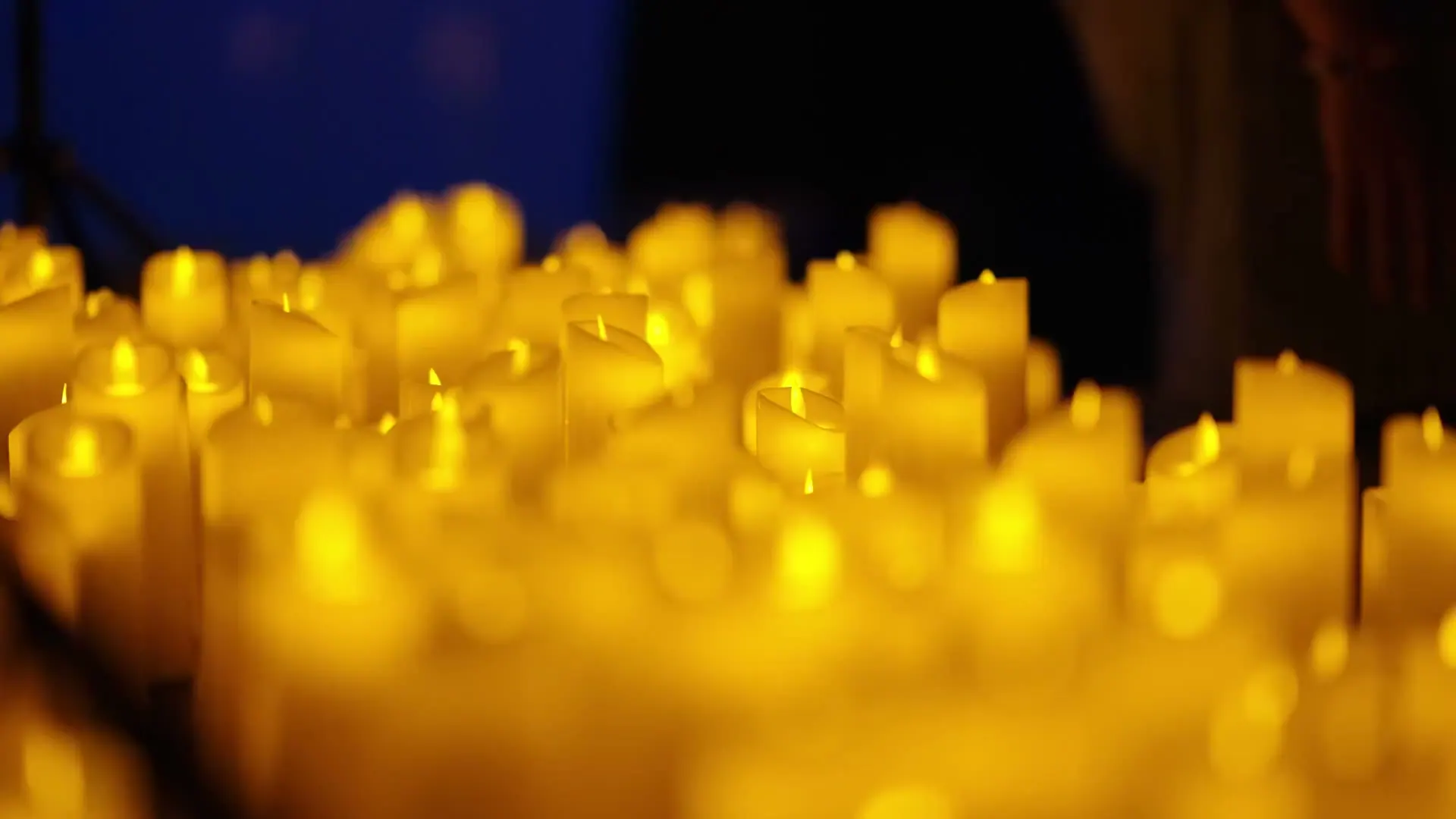 A field of candles at Candlelight Shelanous