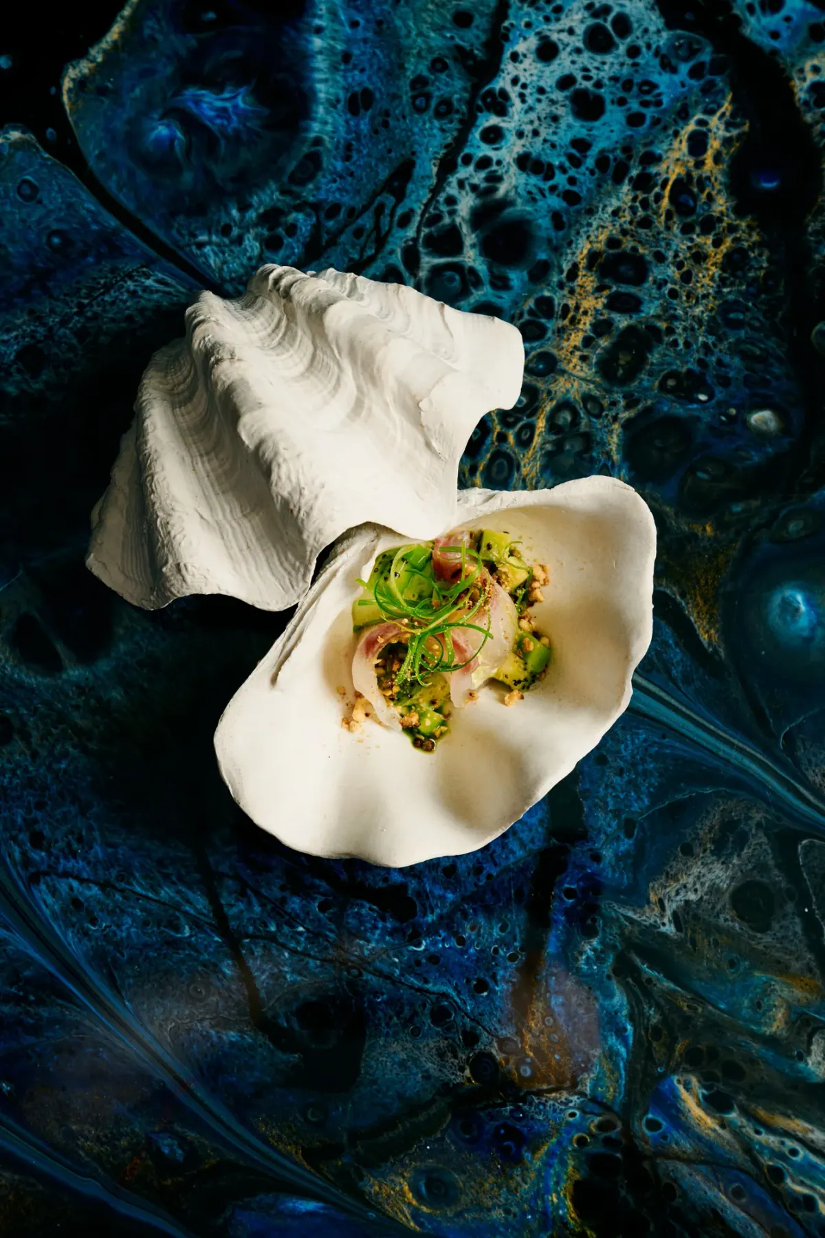Kingfish crudo served in a clam shell on the blue table